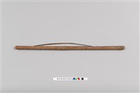 藏品(彈力槍)的圖片